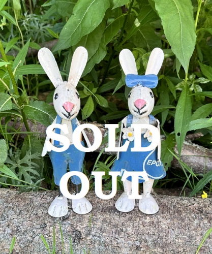 REX & ROBIN BABY BUNNIES BABY